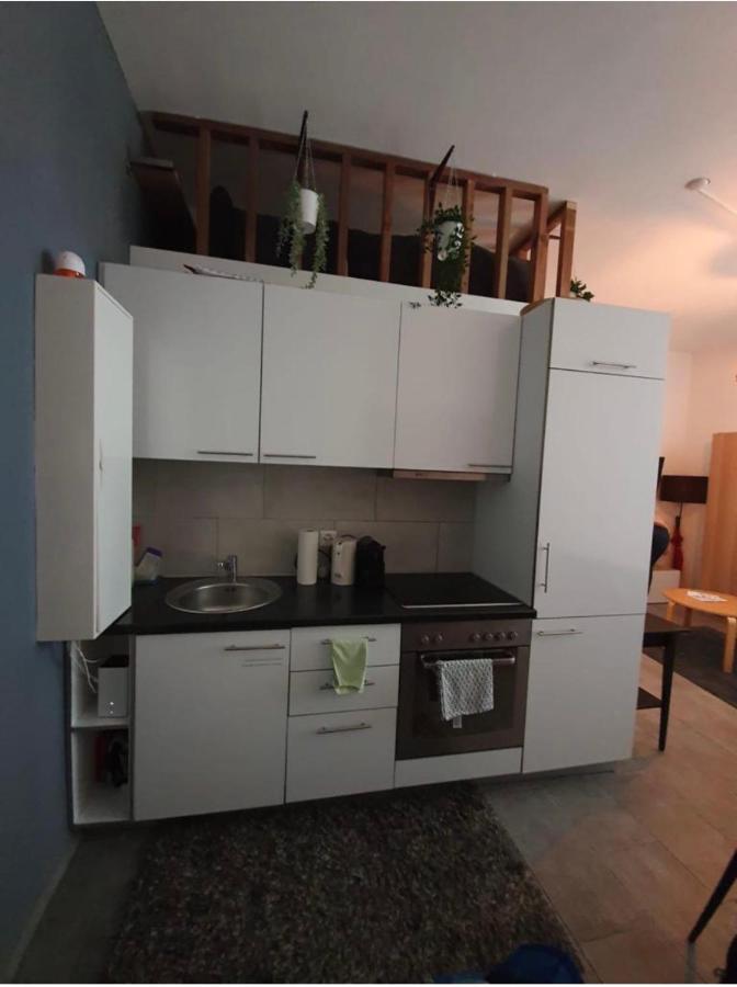 Modern Studio With Mezzanine Le Mont-Sur-Lausanne エクステリア 写真