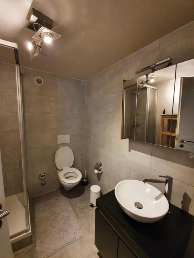Modern Studio With Mezzanine Le Mont-Sur-Lausanne エクステリア 写真