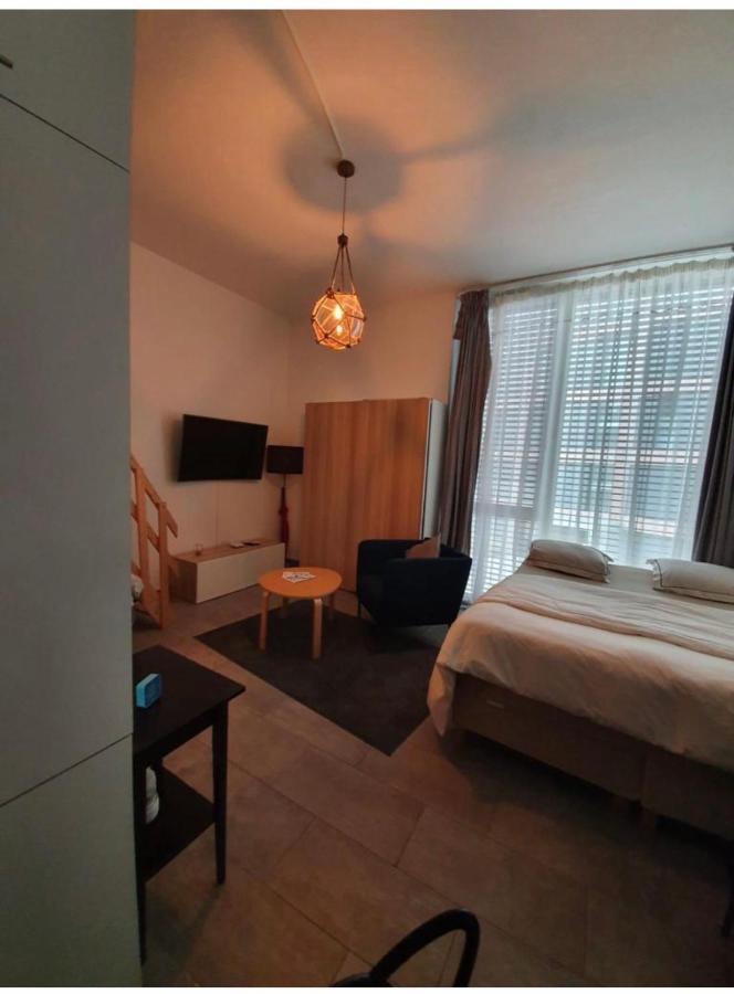 Modern Studio With Mezzanine Le Mont-Sur-Lausanne エクステリア 写真